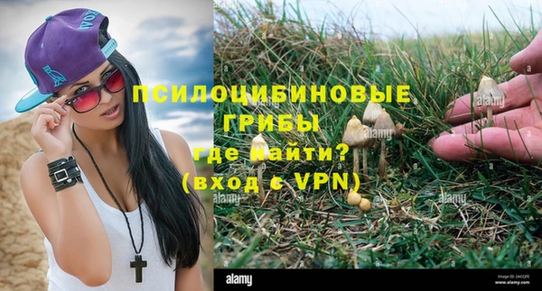 PSILOCYBIN Белоозёрский