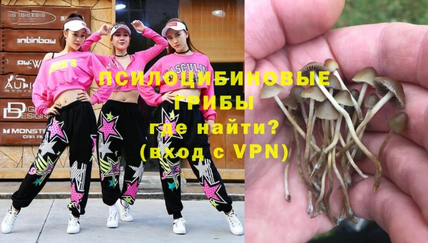 альфа пвп Белокуриха