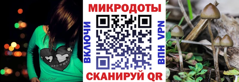 Галлюциногенные грибы мухоморы  Горняк 
